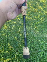Anthony Aguirre review photo