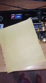 Blake review photo