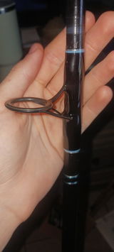 Blake review photo