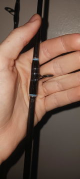 Blake review photo