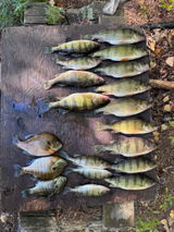 Kyle Thellefsen-KPT CUSTOM RODS review photo