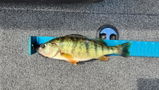 Kyle Thellefsen-KPT CUSTOM RODS review photo
