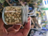 Alansah review photo