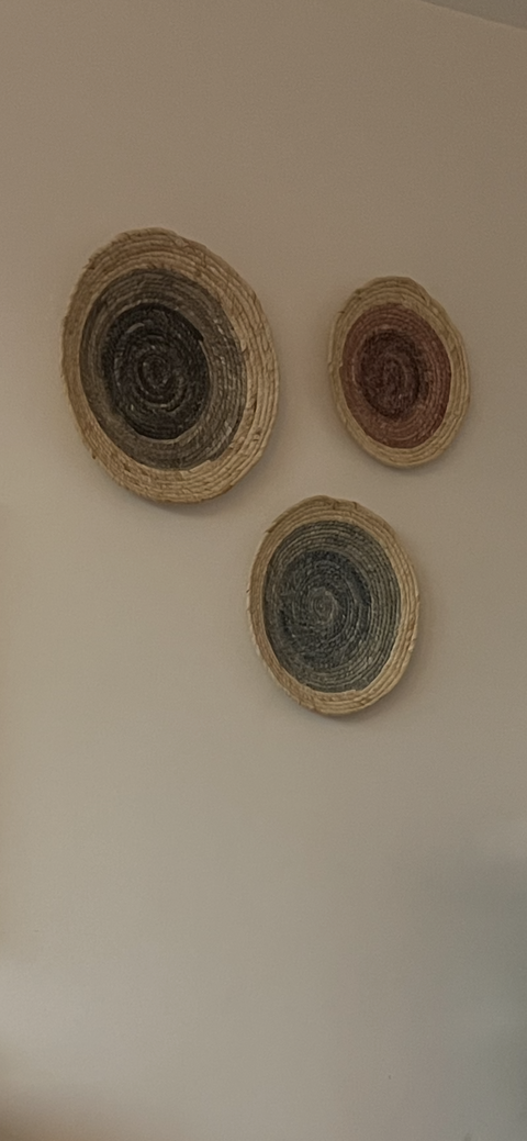 Wall Hanging Trays