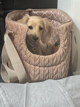 Desiree review photo