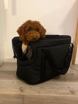 Franzi review photo