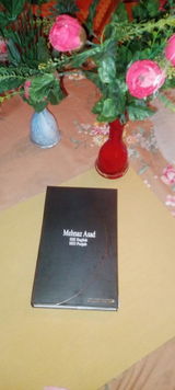 Mehnaz Asad review photo