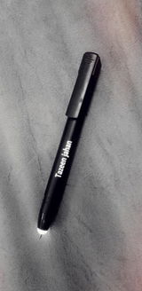 Tazeen J. review photo