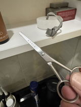 Alp review photo