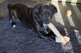 Beth L. review photo