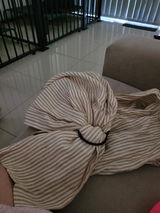 Chelsea Van dam review photo