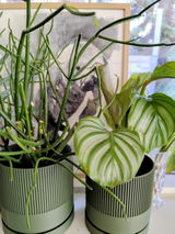 Vilde review photo