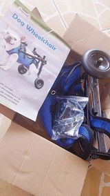 Victor Xavier review photo