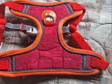 Valentina Alves review photo