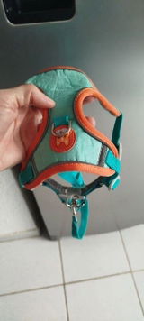 Edi Santana review photo