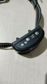 Binho Gonçalves review photo