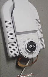 Rafael B. review photo