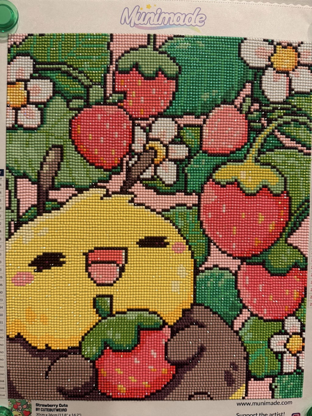 'Strawberry Cute' by CuteButWeird, Diamond Painting Canvas Kit (133)