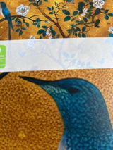 Lichen review photo