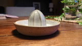 Sophia review photo