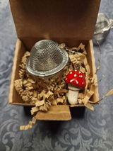 Mandy Van Campenhout review photo