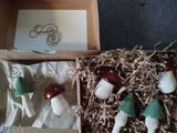 Becki G review photo