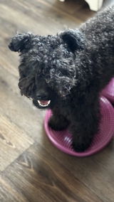 Eija review photo