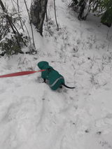 Pertti H. review photo