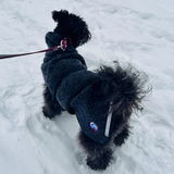 Eija review photo