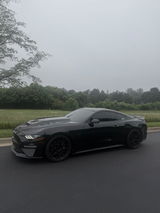 umbra5.0 review photo