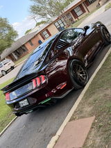 J Leal review photo