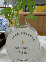Teacherwz review photo