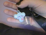 R.S. review photo