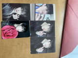 Sunce M. review photo