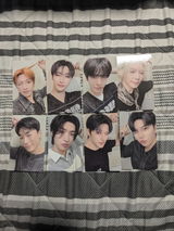 Cottonball C. review photo