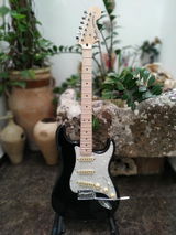 Antonello Giliberto review photo