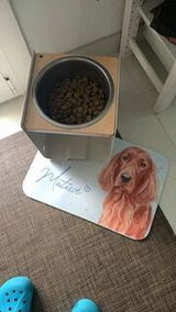 Caterina review photo