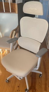 T.P. review photo