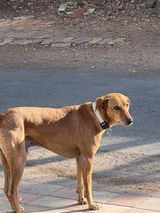 Namita . review photo