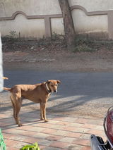 Namita . review photo