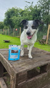 Aoife review photo