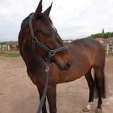 Katharina N. review photo