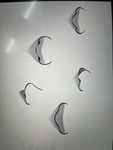 Syaf review photo