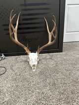 Tyler s. review photo