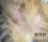 向葵 review photo