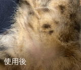 向葵 review photo