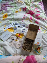 Darya Valadbaigi review photo