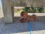 Cati review photo