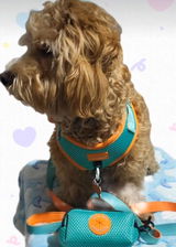 Mireya de maltipoo Cel review photo