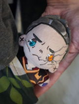 ZS review photo